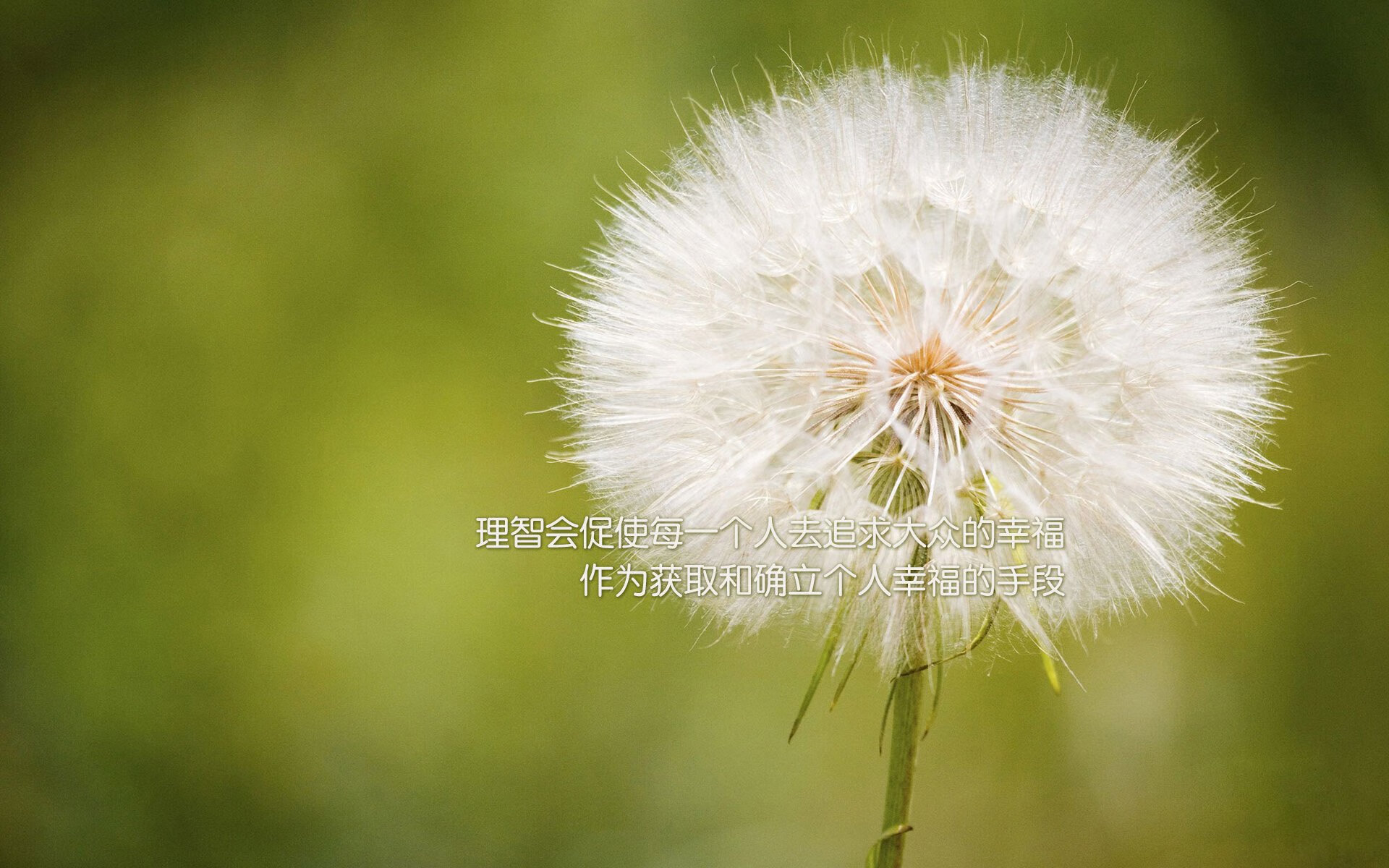 城市马拉松推广全民健康理念,全民马拉松的意义